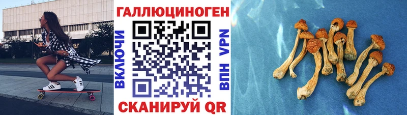 Псилоцибиновые грибы Cubensis  Купить  Плавск 